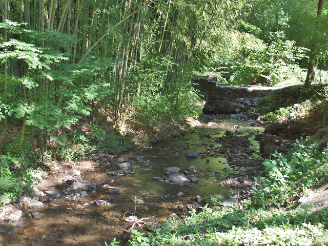 stream at the old mill rose valley, pa