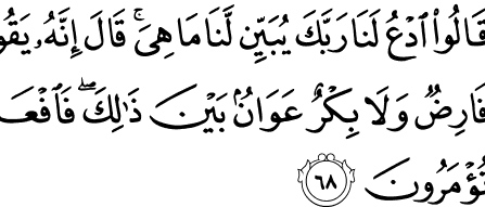 Alquran Daily - surah : Al-Baqarah ,    سورة البقرة   , ayat :  68 (2) -  68 (2)