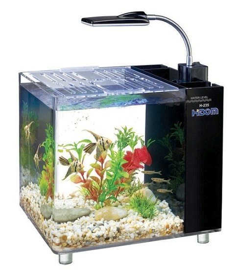 small glass betta aquariums fish tank with light