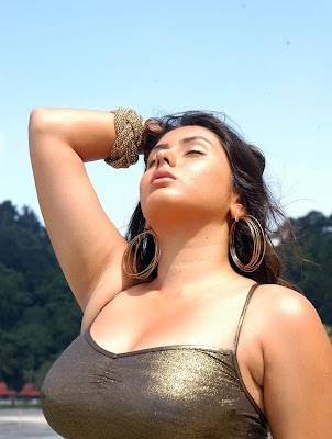 Actress Namitha High Quality Bikini Hot Photos