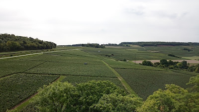 Paysage de vigne vu du sommet de la tour du mémorial de Dormans