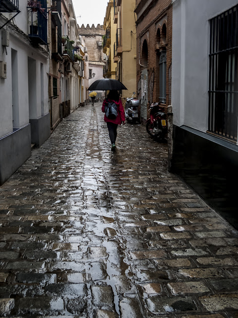 lluvia en Sevilla, calle de Sevilla, dia de lluvia, paraguas, otoño en Sevilla, adoquines