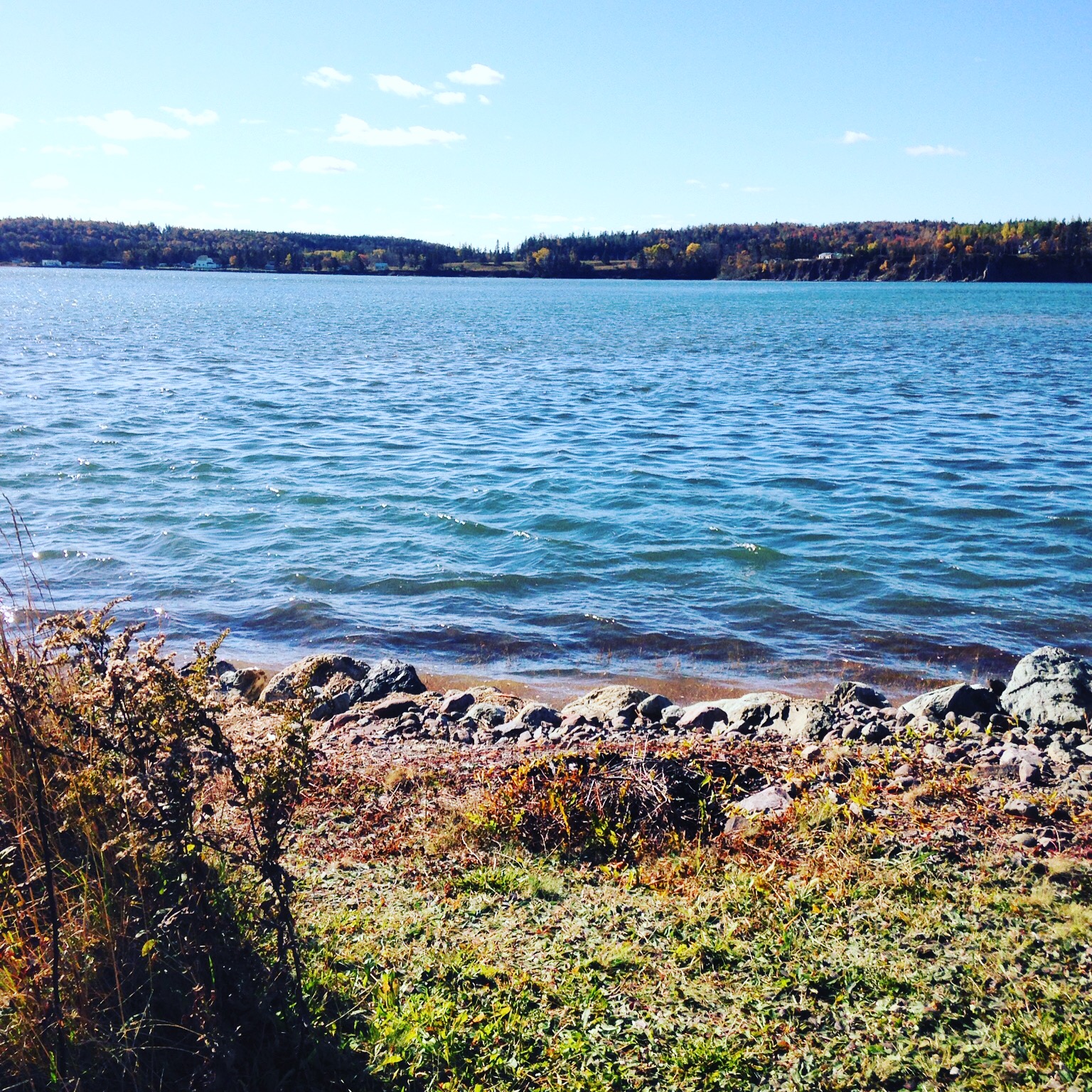 My East Coast Cottage View