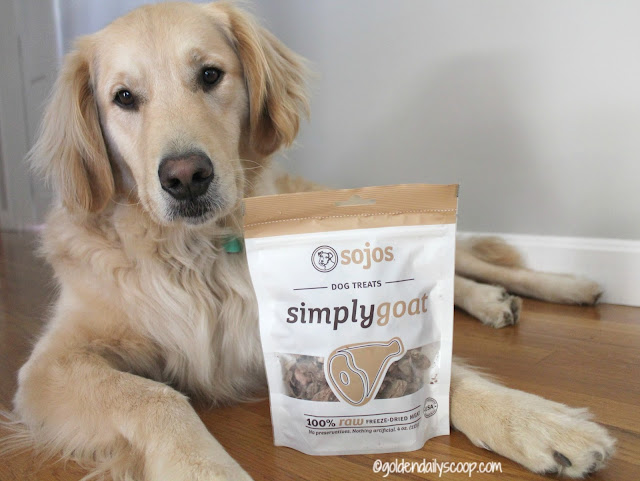 Sojos Simply Goat freeze-dried dog treats