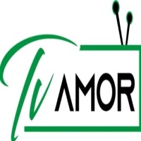 TV Amor