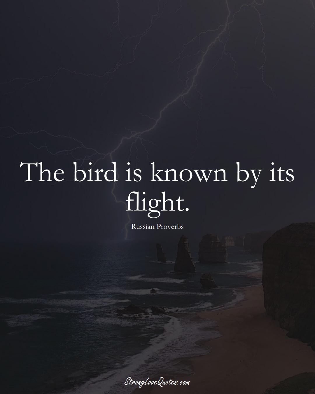 The bird is known by its flight. (Russian Sayings);  #AsianSayings