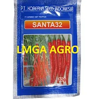 CMB Santa 32 F1,cmb,santa 32,f1,santa 32 f1,lmga agro