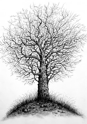  Sketsa Gambar Pohon Gambar Pemandangan