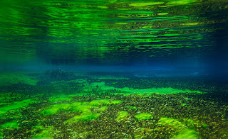 Blue Lake New Zealand