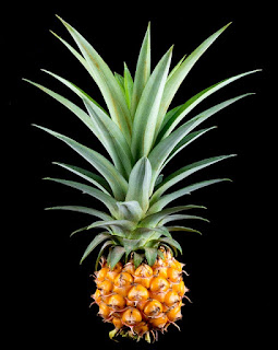 Pineapple Fruit Tropical