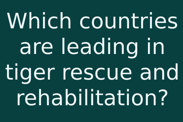 Which countries are leading in tiger rescue and rehabilitation?