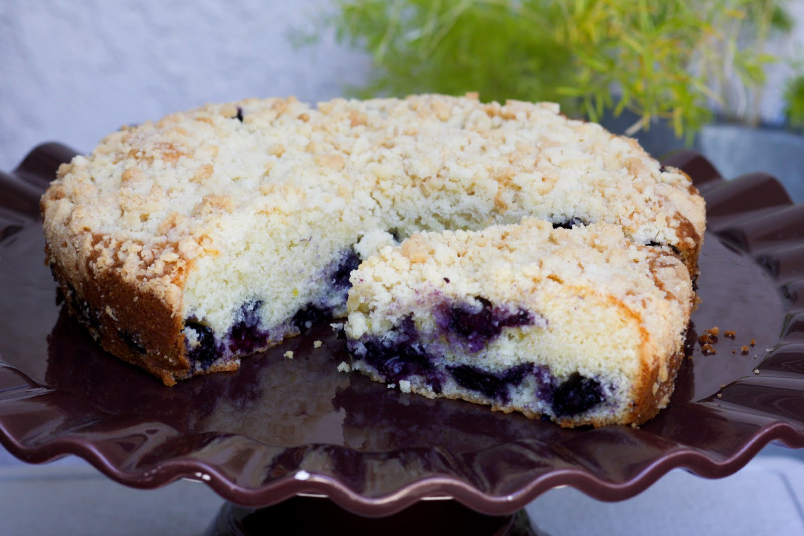 Tasty Triumphs Blueberry Crumb Cake
