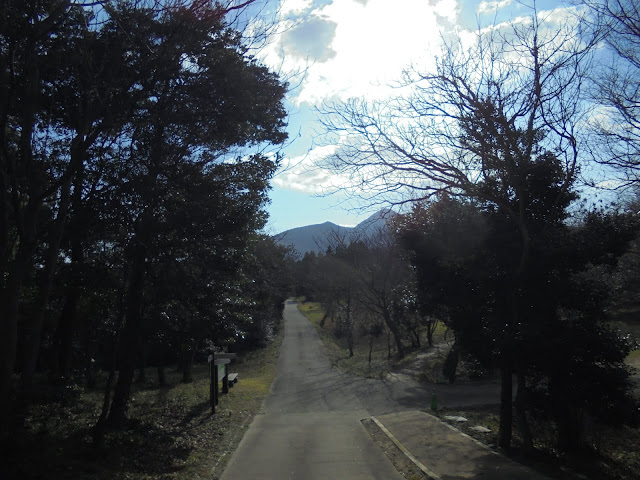 弥生の森の遊歩道