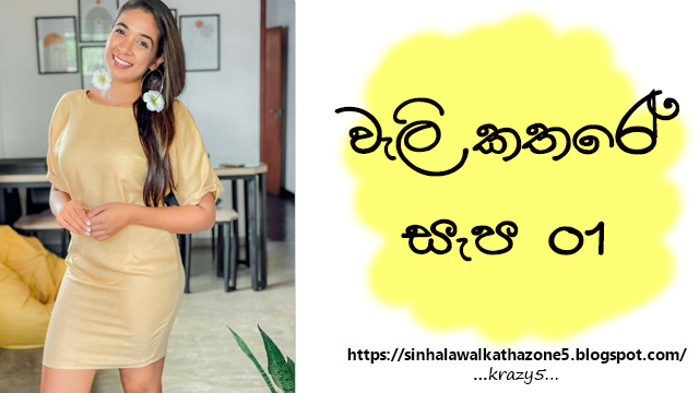 Wali Kathare Sapa | වැලි කතරේ සැප 01