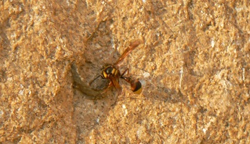 P1200804