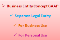 Business Entity Concept GAAP