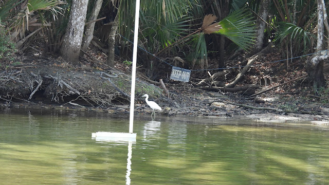Salt Springs Recreation Area