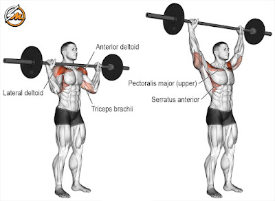 6 Best Shoulder Workout Exercises for Building Muscle