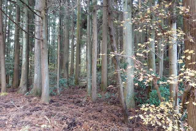 鳥取県西伯郡南部町池野