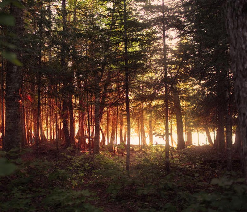 The People Of The Rainbow Gathering