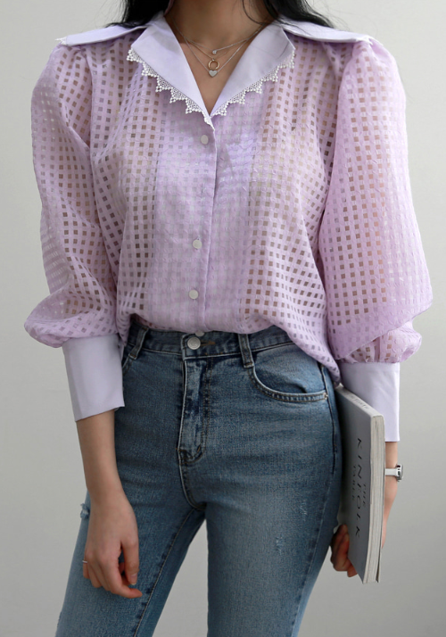 Lace-Trimmed Collar Sheer Blouse