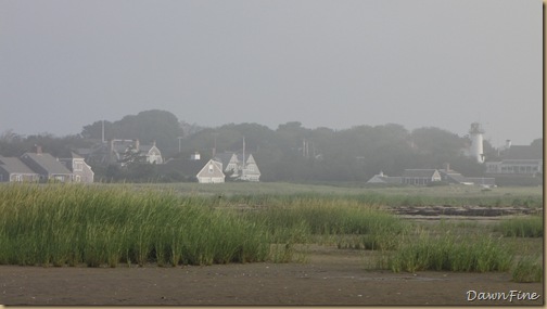 Birding chatham_20090804_041