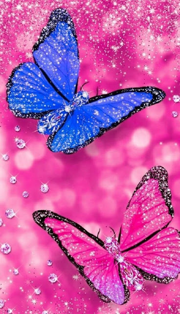صور اجمل اشكال الفراشات بأجمل واروع المشاهد