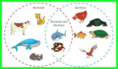 kunci jawaban buku siswa kelas 6 tema 1 halaman 64