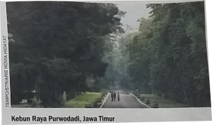 kebun raya purwodadi di propinsi jawa timur