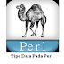 Pengenalan Tipe Data Pada Perl