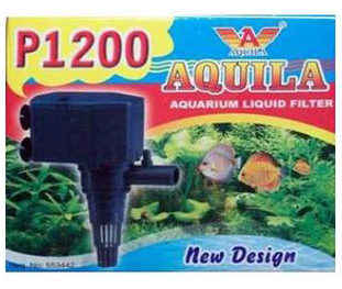 Aquila_P1200