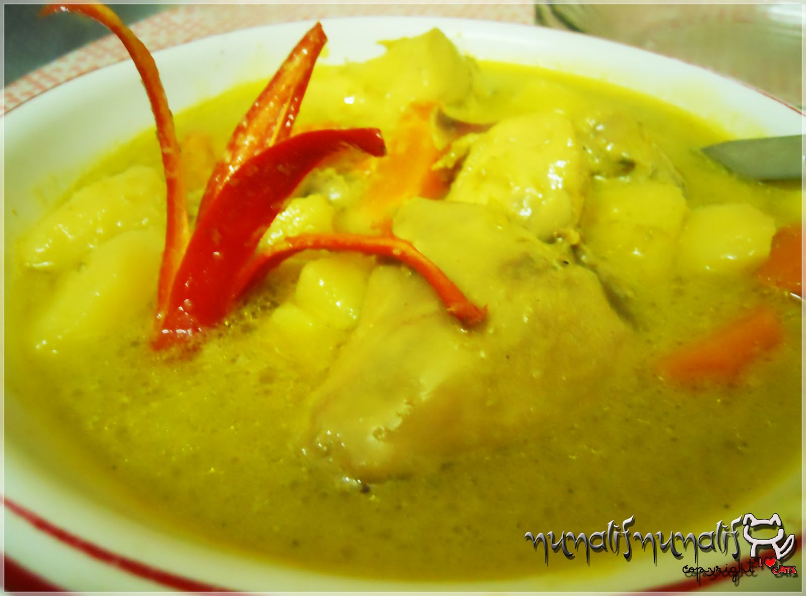 NunAlifNunAlif: Resipi 9 : Ayam masak lemak cili api