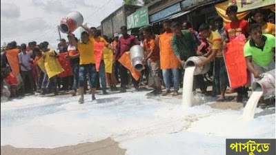 হাইকোর্টের নিষেধাজ্ঞার কারণে দুধ সংগ্রহ বন্ধ: বিপাকে খামারিরা