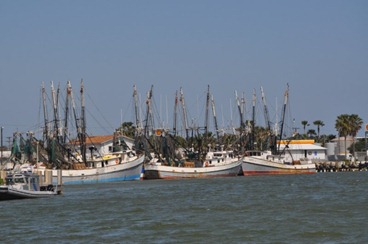 DSC_0196 (2)