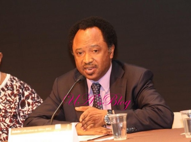 Fulani Herdsmen: Shehu Sani Condemns Buhari Govt’s Plan To Create Ruga Settlements In States