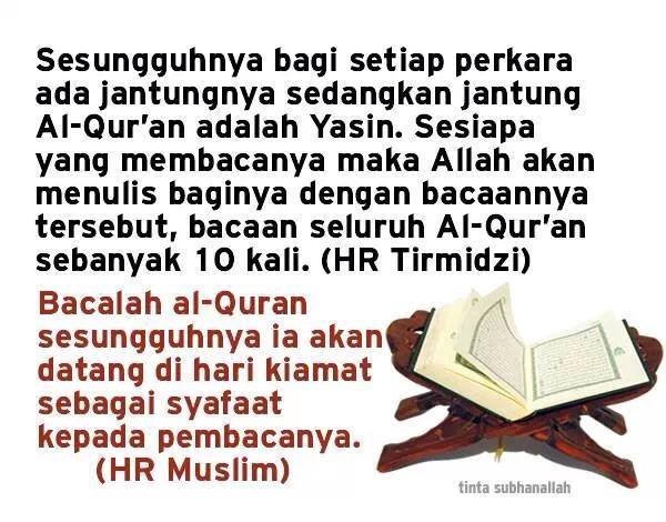 Bacaan Surat Yasin Versi Arab Latin Dan Terjemahannya ...