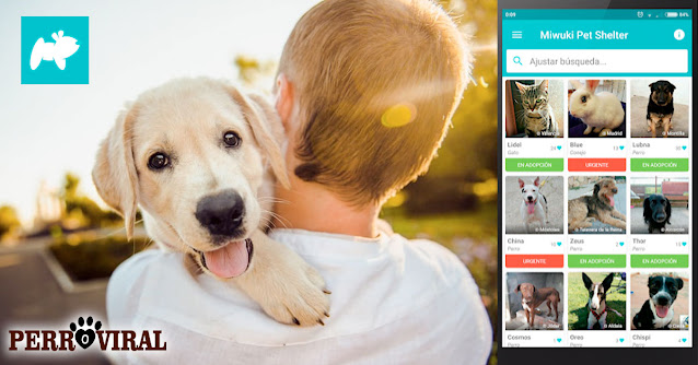 La nueva aplicación móvil para adoptar perros sin peligros ni riesgos de manera legal