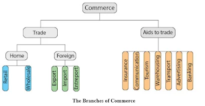 commerce-branches