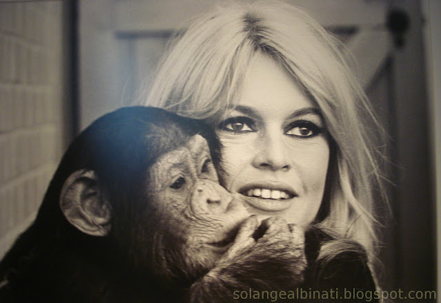 Exposição Brigitte Bardot dans l'intimité Shopping D&D São Paulo