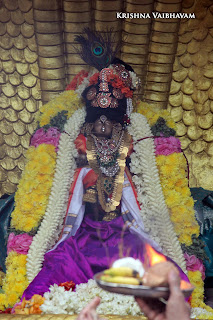 Sri Krishna Jayanthi, Kutty, Kannan, Purappadu,2016, Video, Divya Prabhandam,Sri Parthasarathy Perumal, Triplicane,Thiruvallikeni,Utsavam,