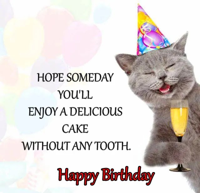 Funny Birthday Wishes For Everyone, Short Funny Birthday Wishes, WhatsApp Birthday Wishes For Funny, Funny Birthday Wishes Man, Funny Birthday Wishes For Him, Funny Birthday Wishes For You,