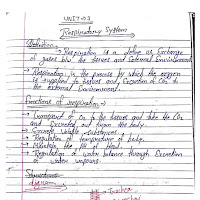 Respiratory system PDF