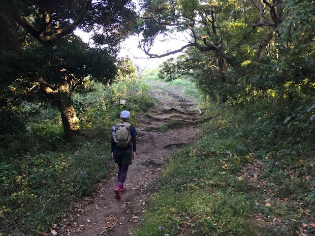 仙元山への登山道