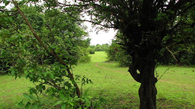 Agumbe