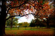 View out my front door