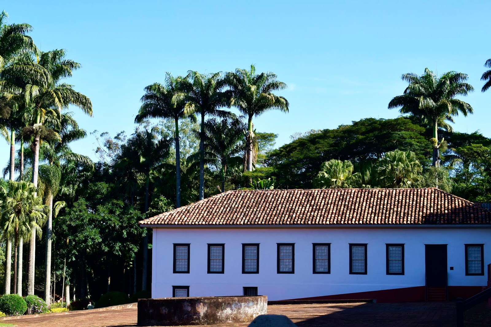 Casa do Pinha - Lugares para visitar no interior de SP