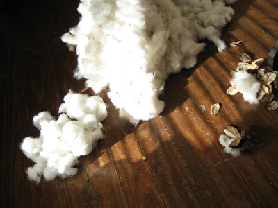 Erin Curry- cotton boll pile