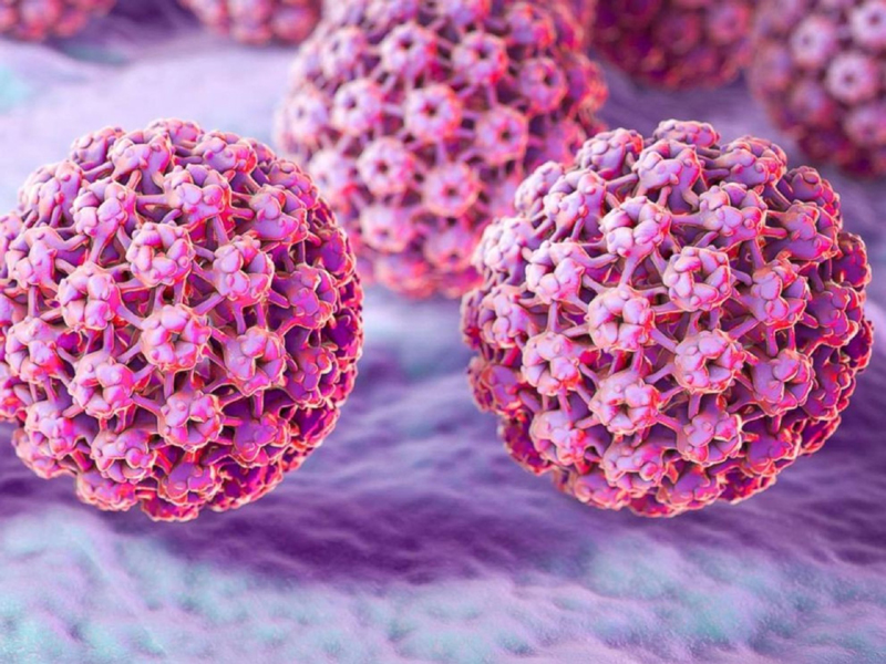 12 Facts About Human Papillomavirus
