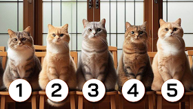 ตรงเหลือเชื่อ! แมวตัวไหน “ดื้อที่สุด” สามารถสะท้อนได้ว่านิสัยของคุณเป็นแบบไหน
