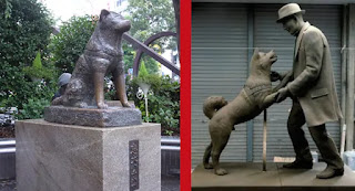 Estatua anterior y actual de Hachiko